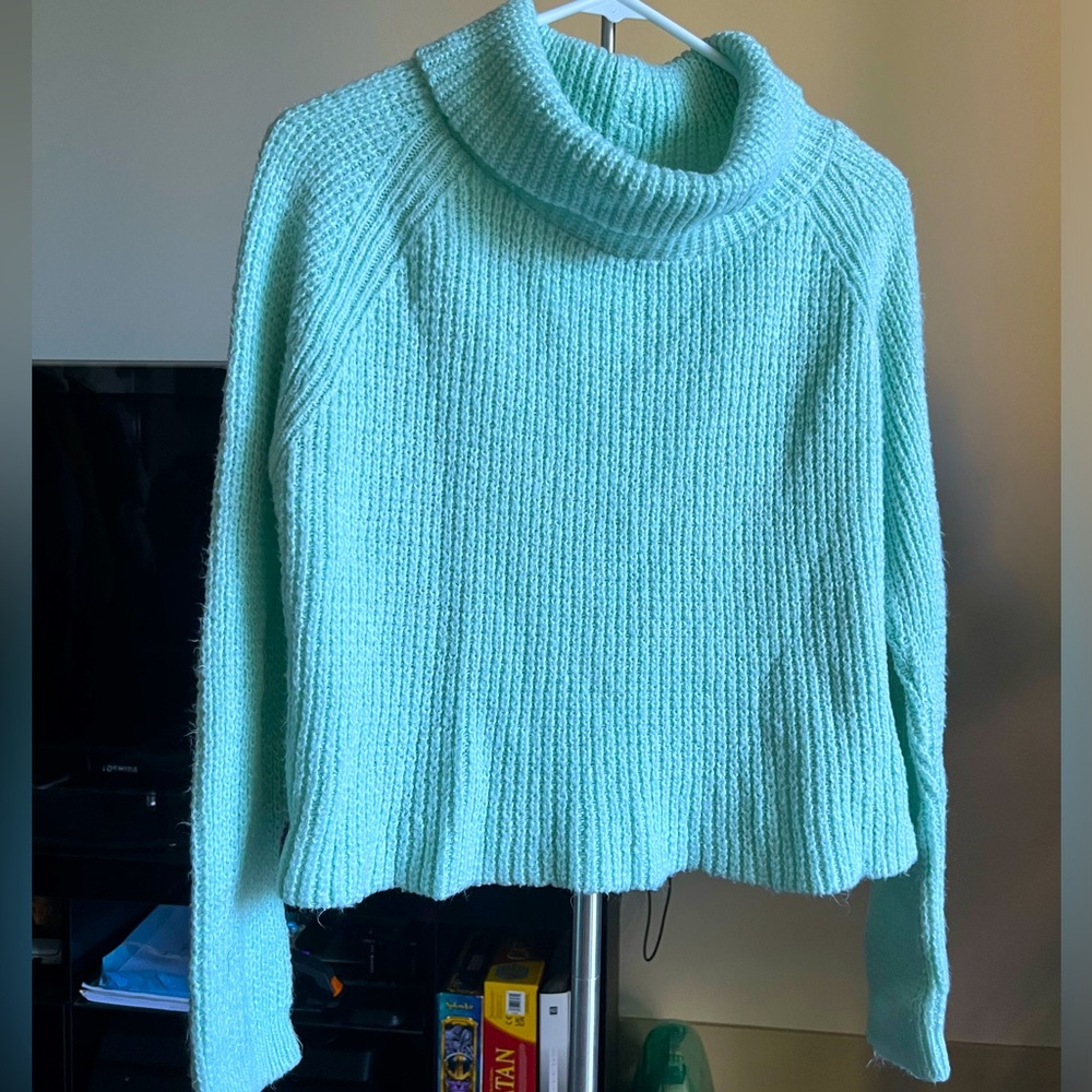 Mint green turtle neck/crop sweater